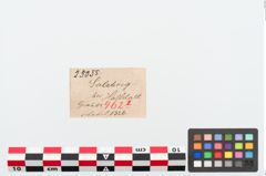 Etiketten zu Bronzemehrkopfnadel (NHMW-PRAE-025055)